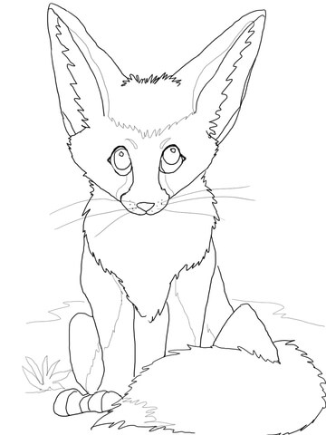 Cute Fennec Fox Coloring Page